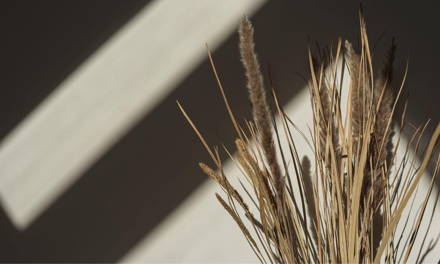 Letter to your future self - MaheeraBlogger