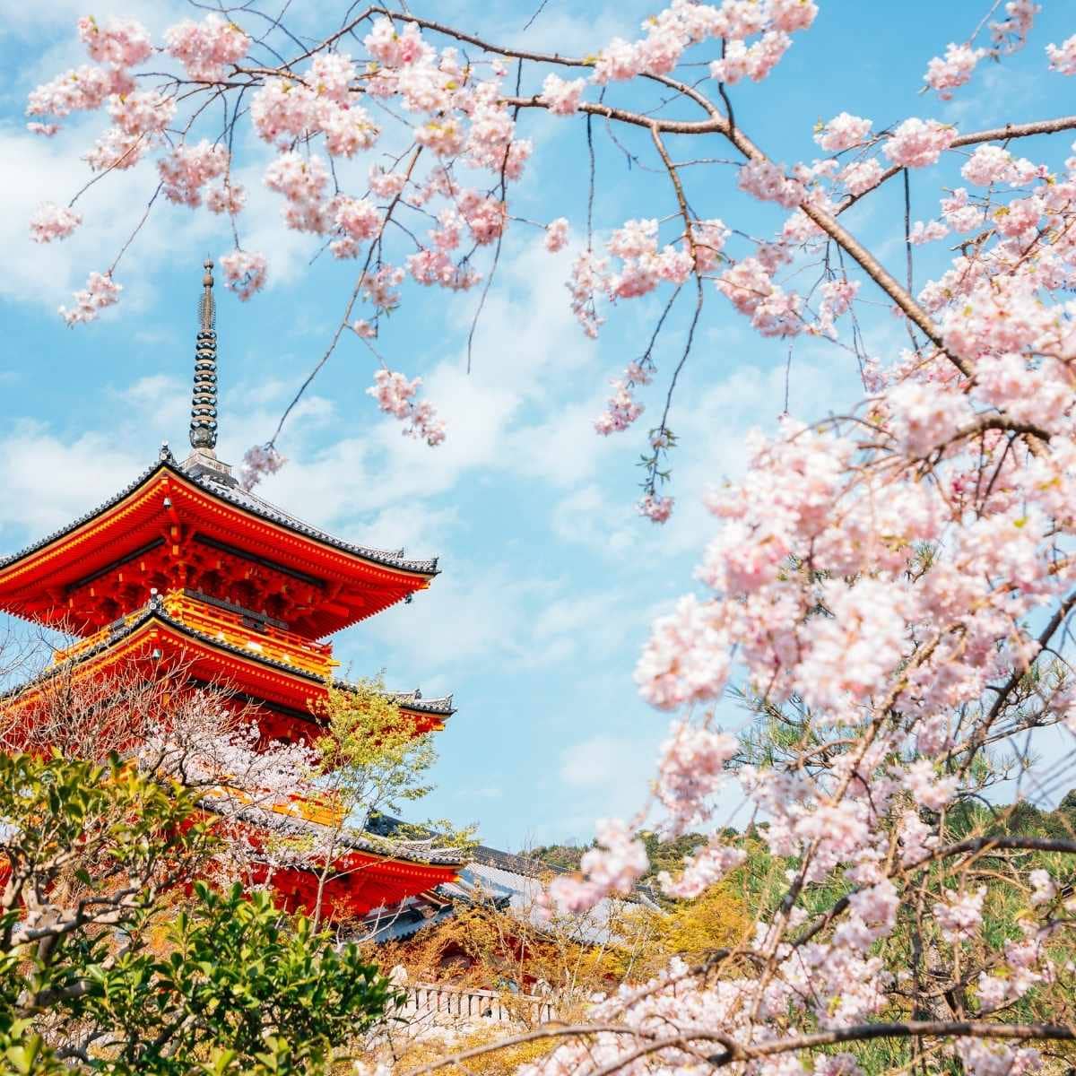 Kyoto Japan