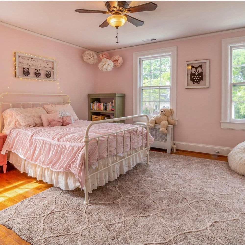 Rugs for Cozy Room